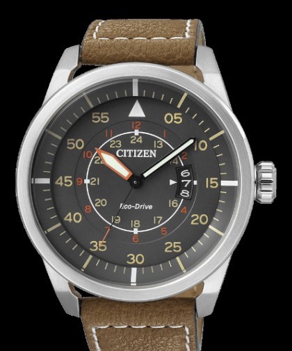 citizen eco drive pilot