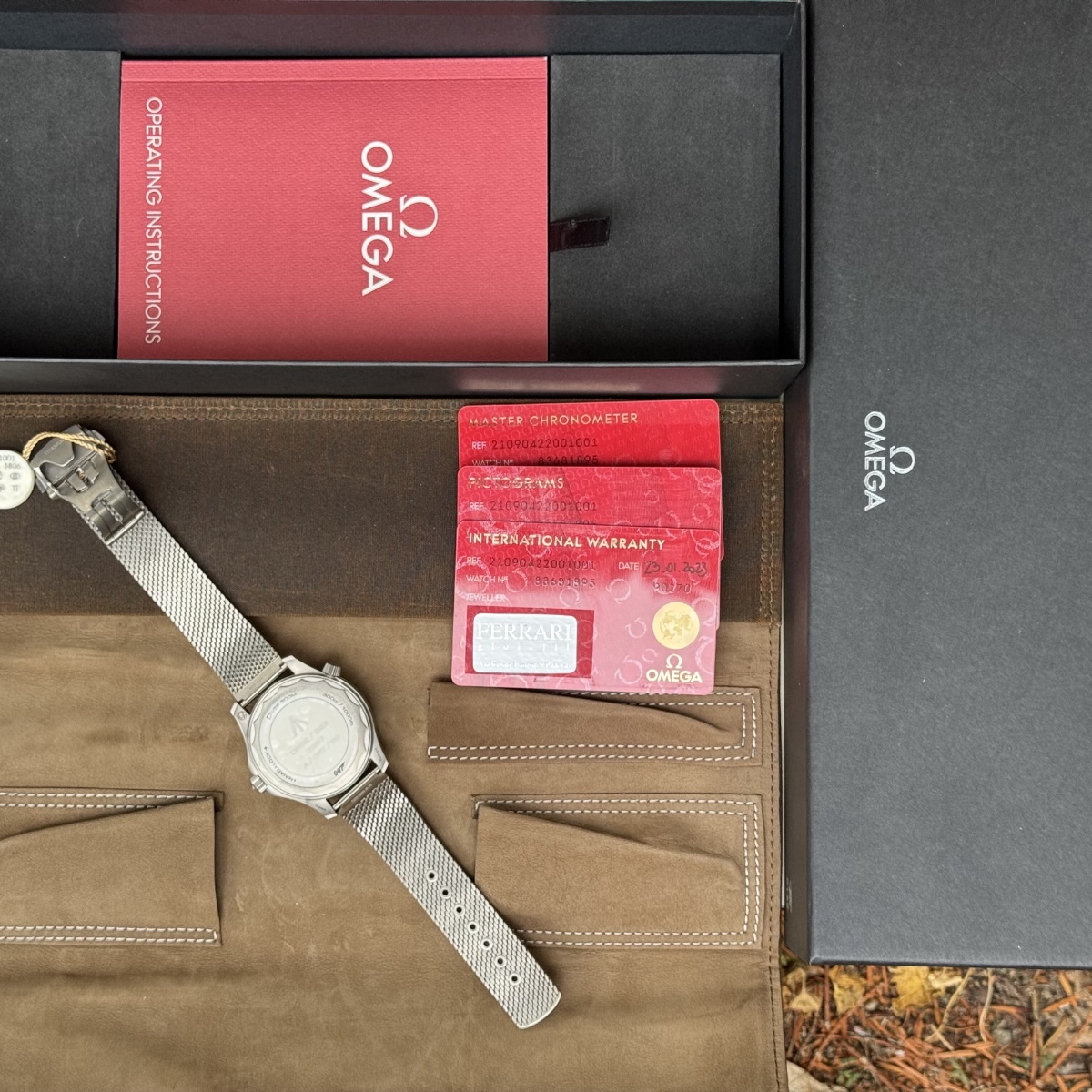 Orologi e non solo - Omega Seamaster