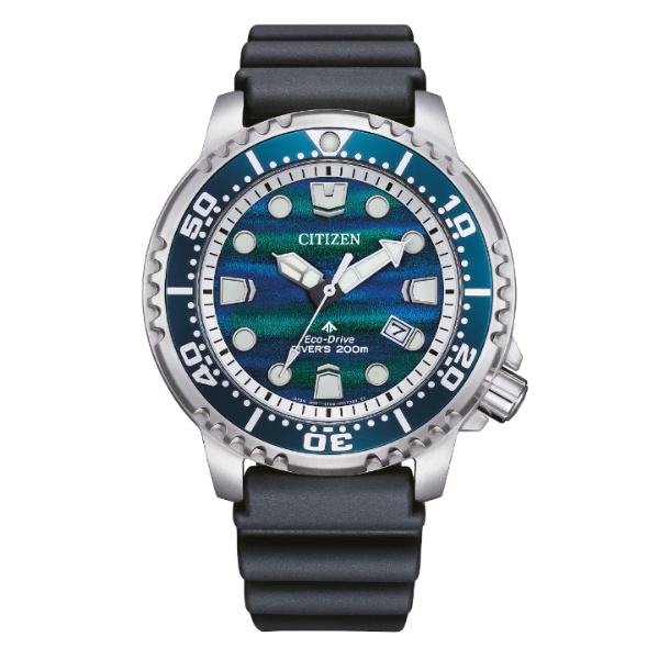 Citizen Diver´s