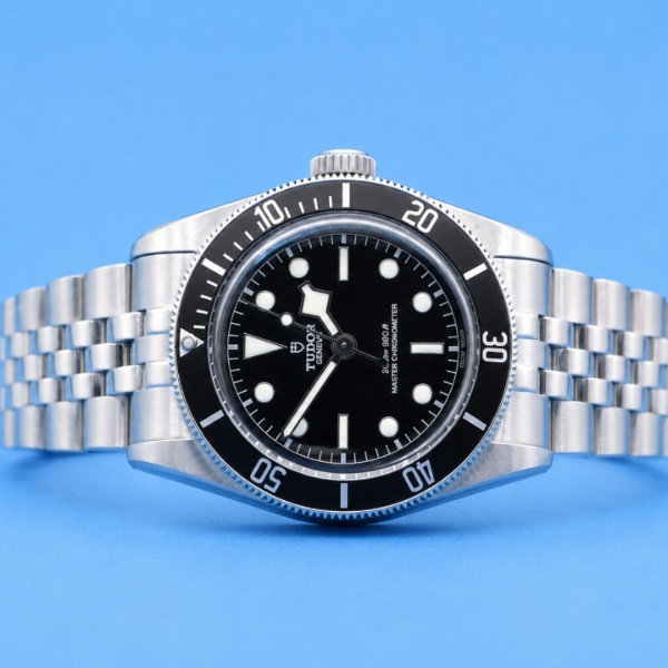 Tudor Black Bay