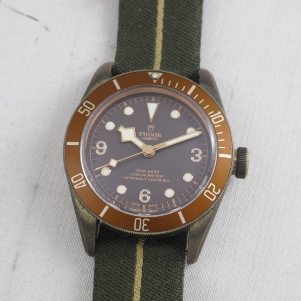 Tudor Black Bay