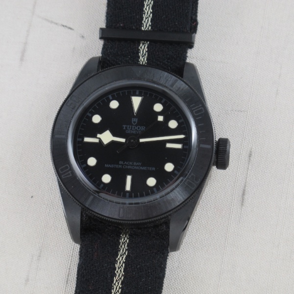 Tudor Black Bay