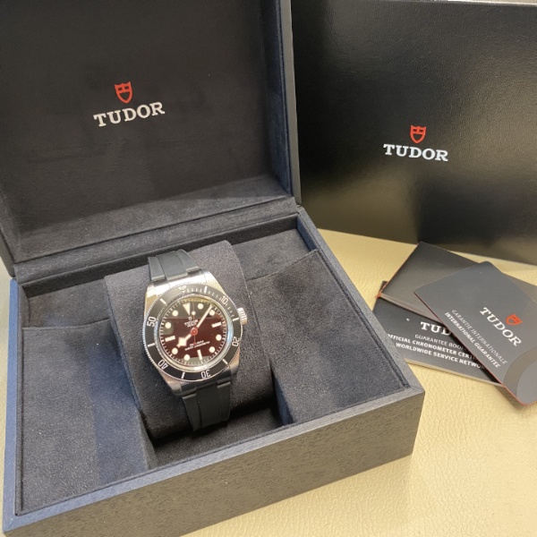 Tudor Black Bay