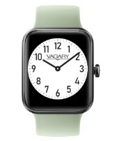 Citizen Vagary Smatwatch
