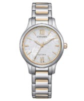 Citizen EcoLady Tondo